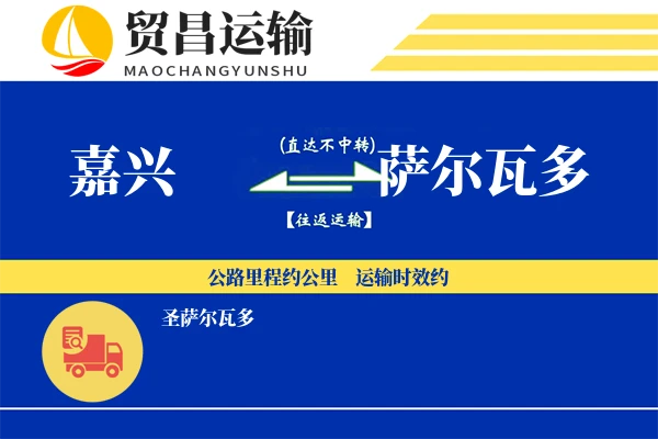 嘉兴到萨尔瓦多物流专线 | 空运海运双清包税 | 门到门国际物流服务